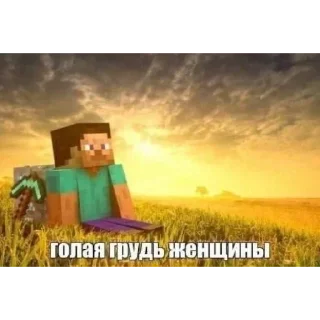 Video sticker 😌 дура