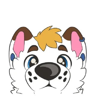 Video sticker 👀 Hecc the Bolf 🐻 @heccboiii
