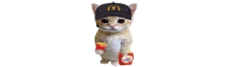 Video sticker 🐈 @ministicers :: cr. @emoji_premium
