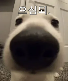 Telegram sticker ❤️ U-MING