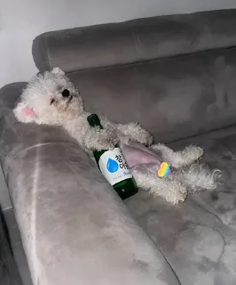 Telegram sticker ❤️ U-MING