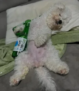 Telegram sticker ❤️ U-MING