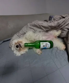 Telegram sticker ❤️ U-MING