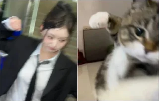 Telegram sticker ❤️ U-MING