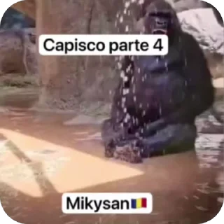 Video sticker 🌟 Capisco di Sex —> @CapiscoMansticker