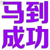 Video sticker ⚡️ 马年特辑定制...