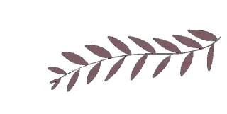 Телеграм стикер 💗 < @OYYYQ | @DYYY8 >