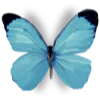 Sticker 🦋 m`
