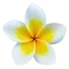 Sticker 🌼 m`