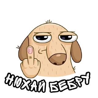 Telegram sticker 🖕 ByXAM