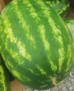 Telegram sticker 😁 Масик ➡️ @Ctikerubot