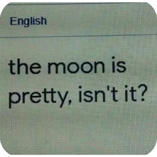 Video sticker 👍 sabylist