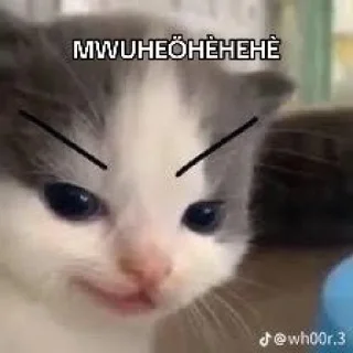 Telegram sticker 🙅 @N2rRx