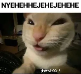 Telegram sticker 🍤 @N2rRx