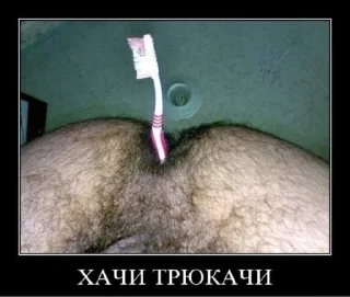 Video sticker 🧕 хачи и чурки