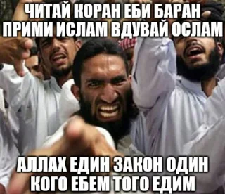 Video sticker 🙉 хачи и чурки