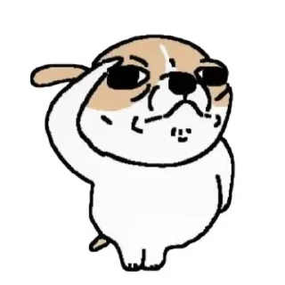 Video sticker 🙂 Cobachi