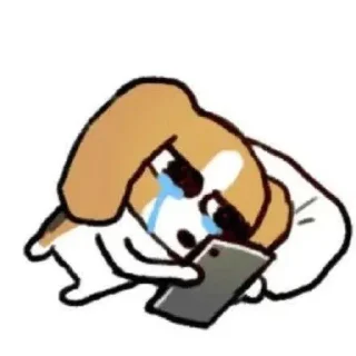 Video sticker 🐶 Cobachi