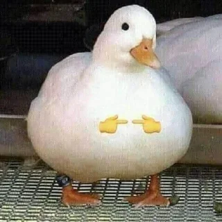 Video sticker 😳 🦢Swanbutgoose🪿 :: @fStikBot