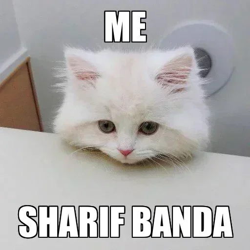 Telegram sticker 🥺 Sainwinian — @stckrRobot