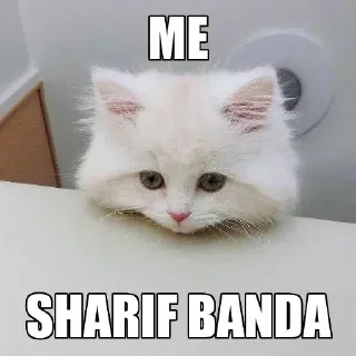 Video sticker 🥺 Sainwinian — @stckrRobot