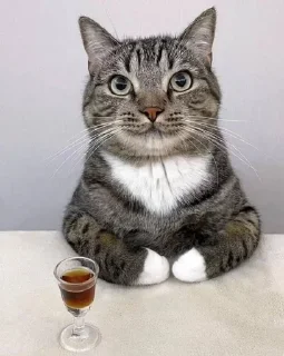 Telegram sticker 🙂 @Raven96