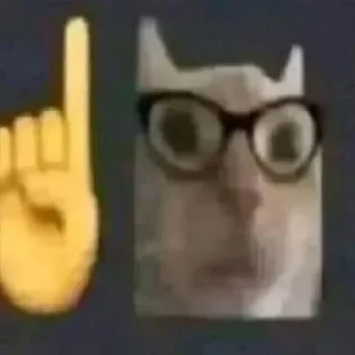 Телеграм стикер 🤓 Вселенная котиков @footpic6