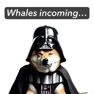 Telegram sticker 🔥 DARTH
