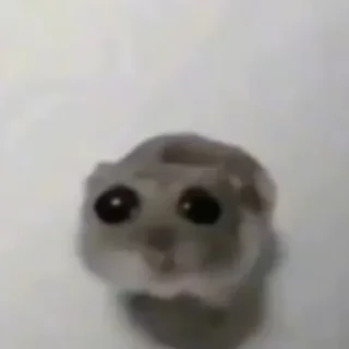 Sticker 🥺 Больше стиков тут: @stikery4