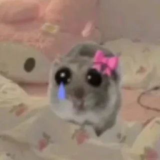 Telegram sticker 😢 Больше стиков тут: @stikery4