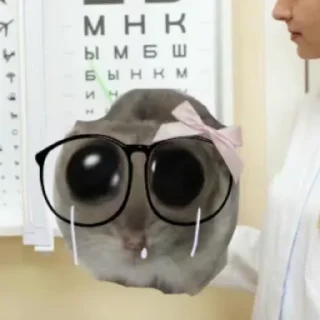 Telegram sticker 🕶 Больше стиков тут: @stikery4