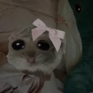 Video sticker 🎀 Больше стиков тут: @stikery4