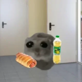 Video sticker 🌭 Больше стиков тут: @stikery4