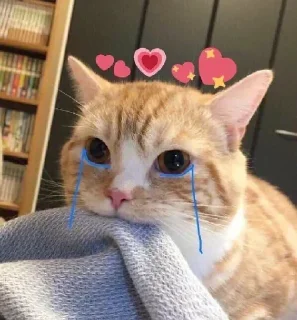 Telegram sticker 🥰 For @english_chatting_club