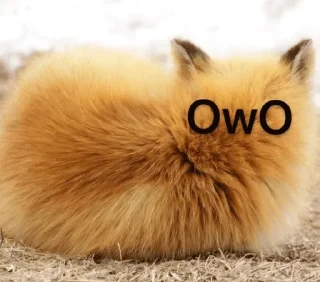 Video sticker 🦊 JaxPack — @stckrRobot