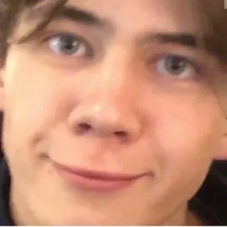 Telegram sticker 😼 Сборник by @fStikBot