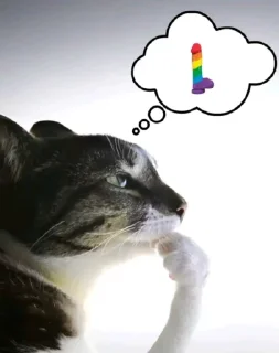 Video sticker 🤩 гавно @TgEmodziBot