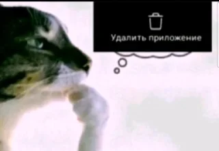 Video sticker 🤩 гавно @TgEmodziBot
