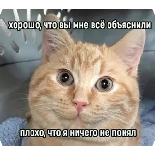 Telegram sticker 🥲 WorkHard