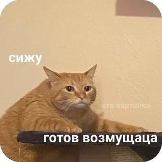 Video sticker 🫥 WorkHard