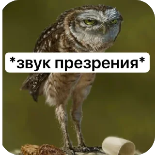 Video sticker 😒 WorkHard