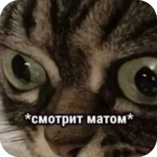 Sticker 🫥 WorkHard