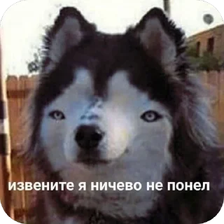 Telegram sticker 🙃 WorkHard