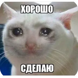 Telegram sticker 👍 WorkHard