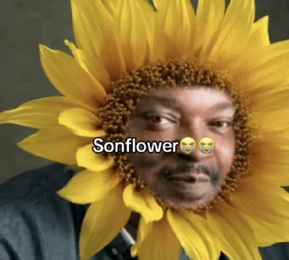Telegram sticker 🌞 Son😭😭 - braum