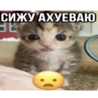 Telegram sticker 🐱 Больше стиков тут: @stikery4
