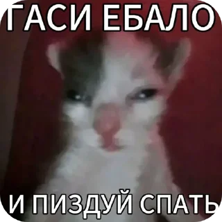 Telegram sticker 🖼 Больше стиков тут: @stikery4