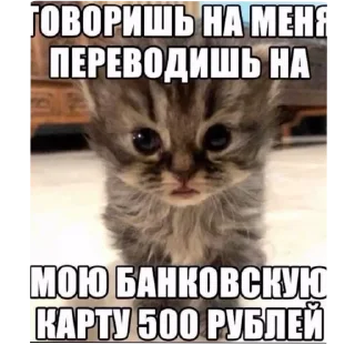 Telegram sticker 🐱 Больше стиков тут: @stikery4