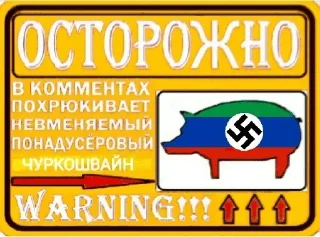 Video sticker 🇹🇯 Национал-негризм :: @fStikBot