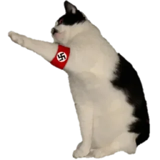 Telegram sticker 😽 Национал-негризм :: @fStikBot
